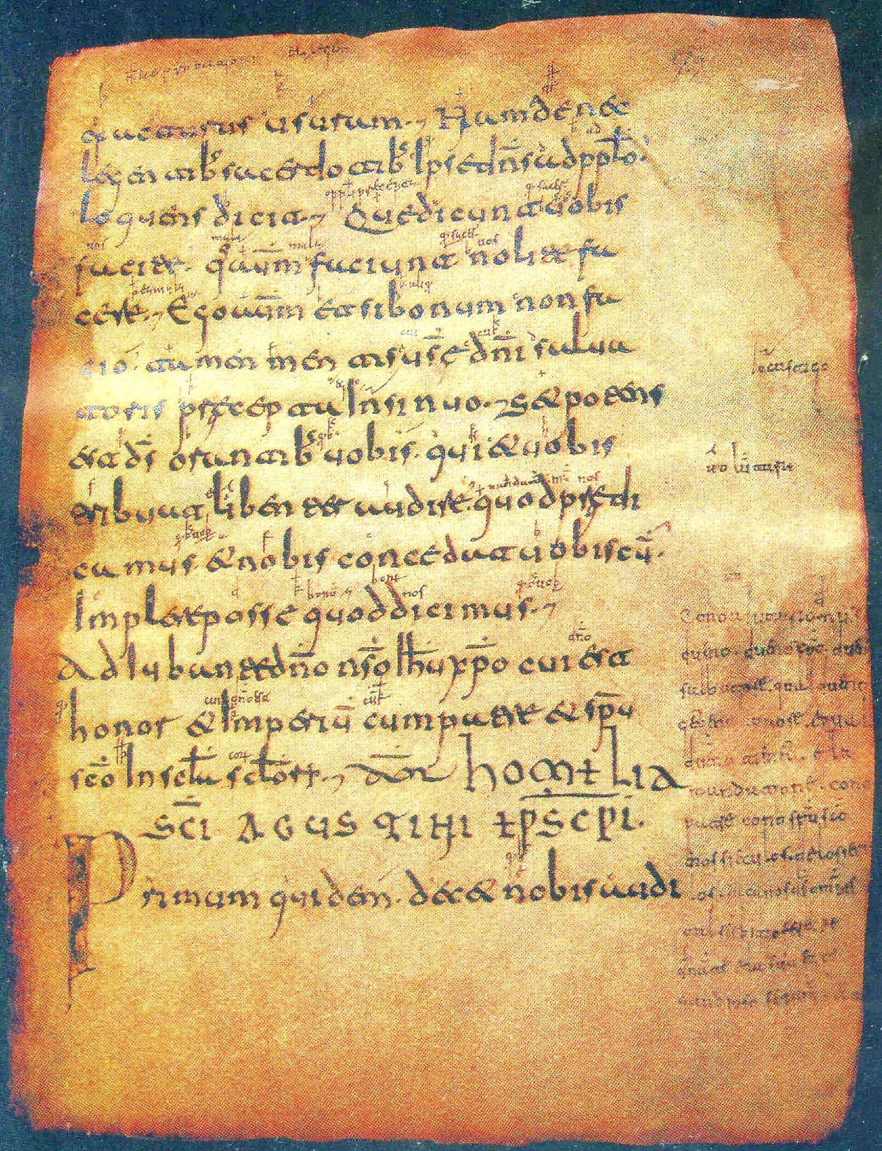 Glosas Emilienses